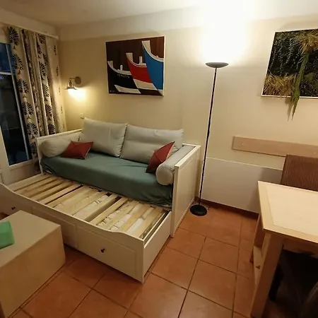 Appart' Dans Les Pins, Ocean, Lac, Piscine Apartment
